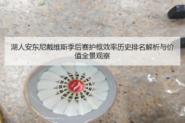 湖人安东尼戴维斯季后赛护框效率历史排名解析与价值全景观察